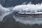 il lago dei cigni il lago dei cigni