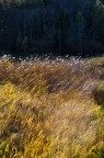 Via con il Vento d'Autunno Via con il Vento d'Autunno