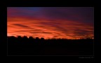 DSCF3736 DSCF3736