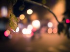 The last leaf