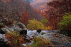Autunno Autunno
