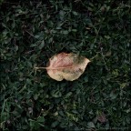 Acque oscure