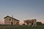 Al calar della sera Al calar della sera