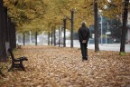Autumn Autumn