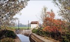 piccola peste e i colori dell'autunno ;/) piccola peste e i colori dell'autunno ;/)