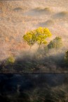 tocchi di colore