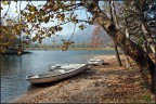 Autunno img.07 Autunno img.07