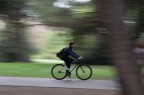 Pedalata nel parco Pedalata nel parco
