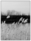 brezza sul fiume brezza sul fiume