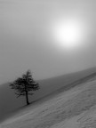 fog & snow fog & snow