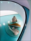 L'acquario L'acquario