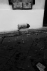 ''' '''
