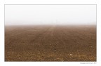 Terra Terra