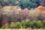 Autumnal impression Autumnal impression