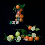 vitamina C vitamina C