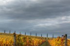 Toscana Toscana