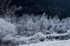 ice field ice field