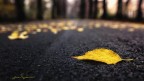autunno autunno