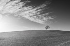 solitario solitario