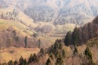 Nella valle (Val Brembana) Nella valle (Val Brembana)