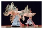 flamenco