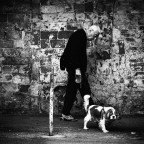 Passante con cane
