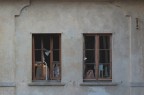 La finestra di fronte La finestra di fronte