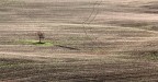 alone alone