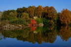 riflessi riflessi