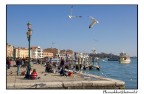 prima delle maschere a venezia.. prima delle maschere a venezia..