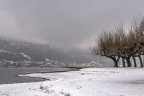 prima neve prima neve