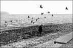 L'altro mare img.091