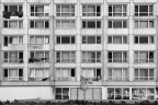 Grigiori urbani Grigiori urbani