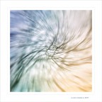 Una discesa nel Maelstrom... Una discesa nel Maelstrom...