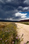 Attraverso il Vermillion Cliffs USA 2017 Attraverso il Vermillion Cliffs USA 2017