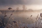 una fredda mattina di dicembre una fredda mattina di dicembre