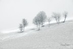 ricordi ricordi