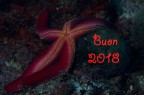 Tanti auguri Tanti auguri