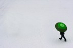 verde verde