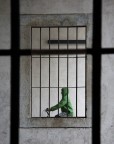 verde verde