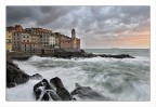 Tellaro tra i marosi. Tellaro tra i marosi.
