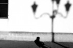 L'ignoto L'ignoto