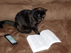 Lettura Lettura
