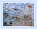 Sky in tears Sky in tears