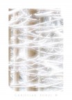 White Web White Web