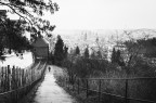 Praga