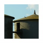 metafisico con piccione