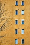 Condominio