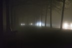 A foggy night A foggy night