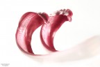 Cibo e quello che c'è intorno Cibo e quello che c'è intorno